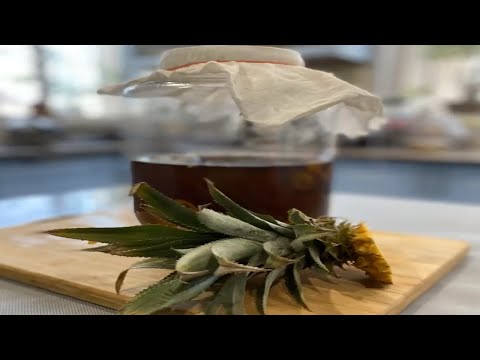 Brewing Mexican Pineapple Tepache at home - Sink Into Skin Series