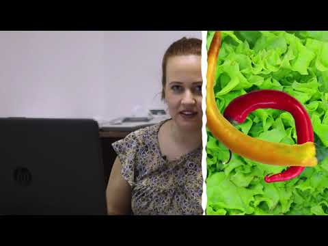 Ceger ep. 218 07.04.2020. Pijaca Sv. Andreje, Zeleni Venac, Kalenić