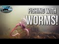 How to catch Fish with Worms | TAFishing