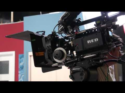 Pe platou la Narcisa  Salbatica - Iubiri nelegiuite