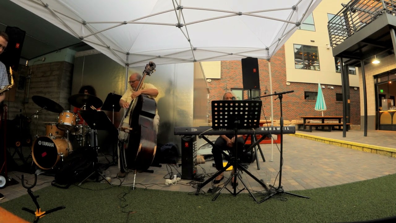 Promotional video thumbnail 5 for Bonnie Lowdermilk solo, duo, trio, 4-tet