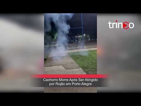 Cachorro morre após ser atingido por rojão em Porto Alegre
