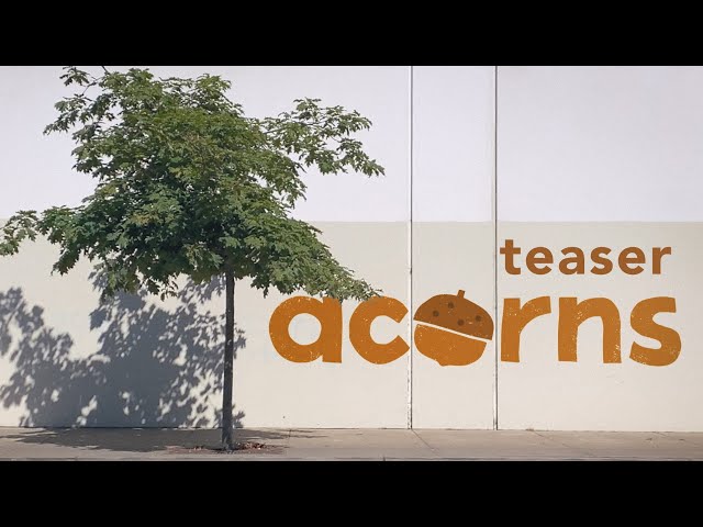 Teaser: Acorns - Tonko House