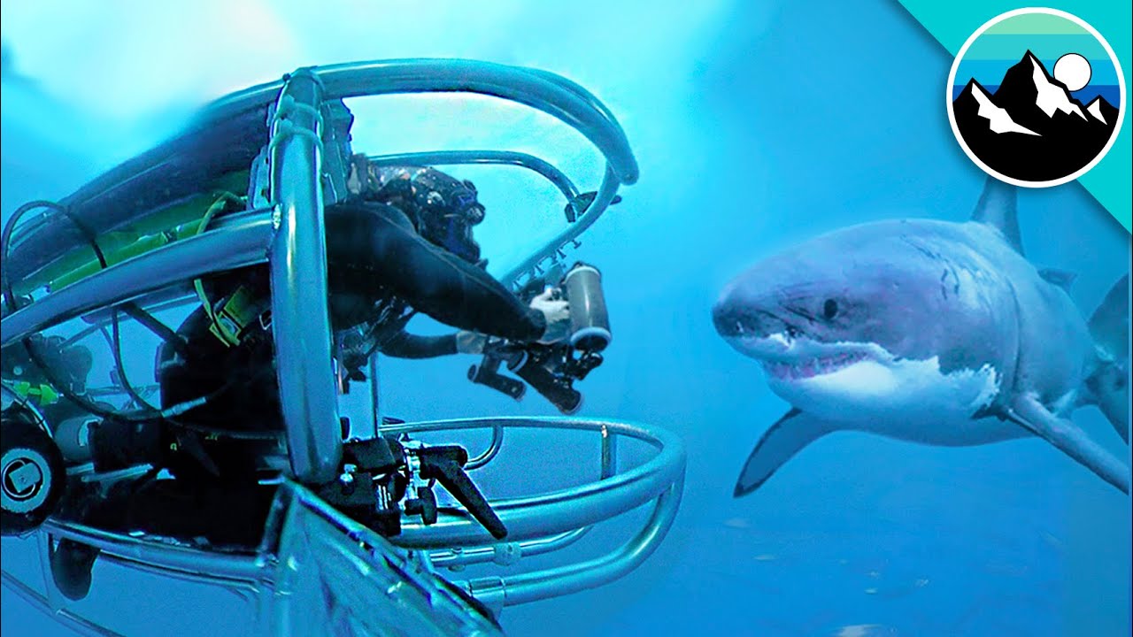Great White Shark Submarine Explores the Kill Zone!