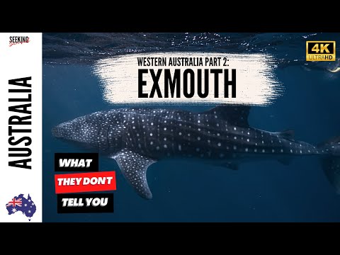 🇦🇺 TOP 12 THINGS TO DO IN EXMOUTH: Swim with Whale Sharks 🦈 🐋and More 4K #bucketlist #australia