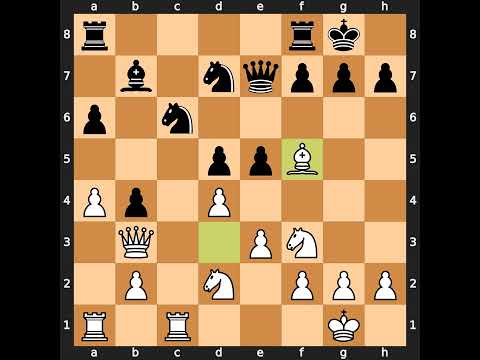 Evgeny Bareev-Alexei Shirov, Tilburg 1993, Result: 0-1