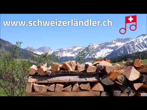 Handorgelduo Winä und Hardy - De Fritz am Läbere choche