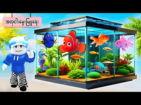 ကမ္ဘာ့ဈေးအကြီးဆုံးအလှမွေးငါးတွေကို ကျနော်မွေးမြူခဲ့တယ်/ Fishy Reef Roblox 