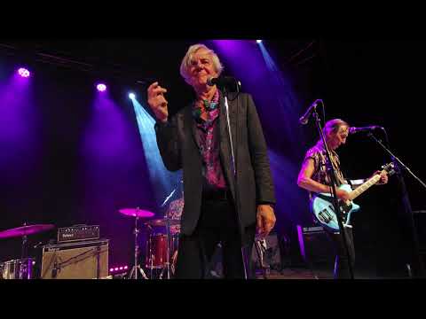 THE FLESHTONES - 2025 // Empty Sky