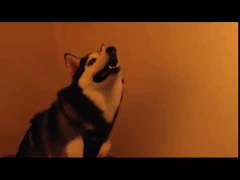 Randomness Of Inkwell Just One Sneeze Wattpad