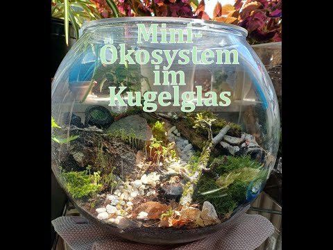 Nano terrarium with animals - setup tips!                       #woodlice #smallbioactive #terrarium
