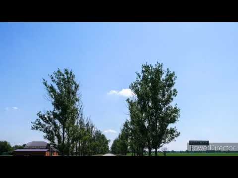 Тучки белые несутся надо мной...