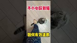 [問卦] 為什麼女生很容易喜歡男生的壞呢