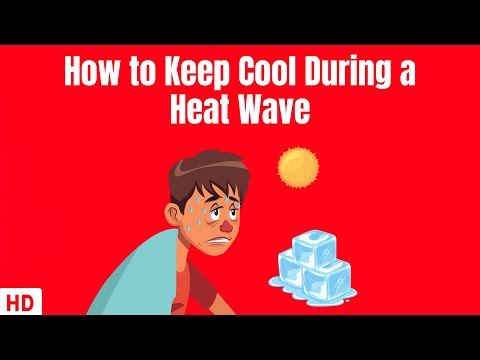 All About Allergy Shots