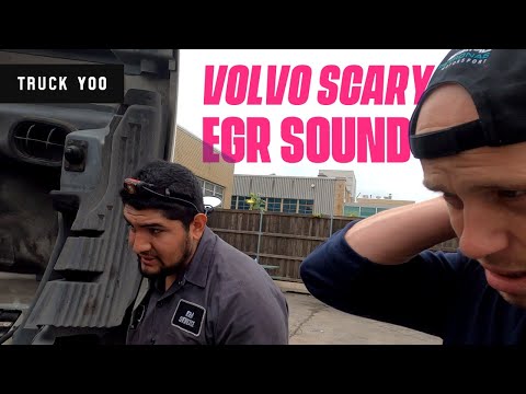 Scary EGR noise