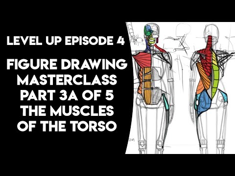 Figure Drawing Masterclass - Part 3A of 5 - The Muscles of the Torso, Shoulders, and Hips
