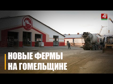 Новые молочно-товарные комплексы обещают ввести в эксплуатацию в 2026 году
