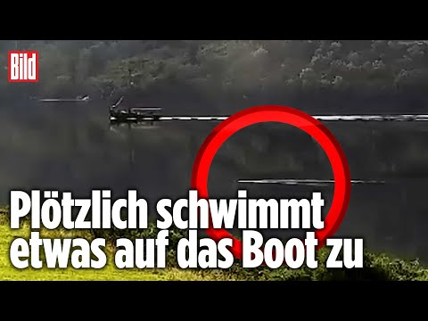 Ungeheuer von Loch Ness: Ist das ENDLICH der Beweis für „Nessie“?