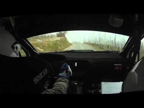 Cameracar Rally del Piemonte 2015 Gandolfo-Torterolo 208 R2B 9°assoluti 2°classe - PS 3