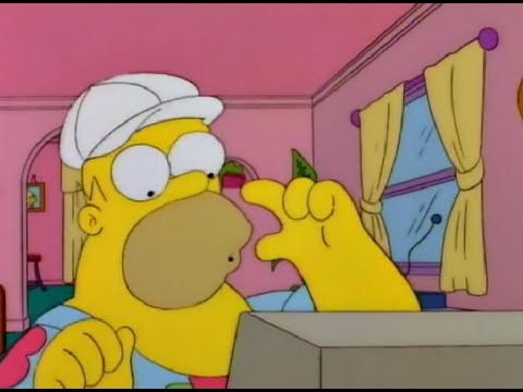 The Simpsons S07E07 - Der behinderte Homer - Homer im Home Office [Deutsch/German]