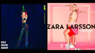 Don&#39;t Worry Bout Me/I Would Like [Mashup] - Zara Larsson