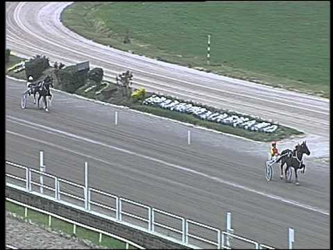 Trotto 28/03/2016 - prova di qualifica