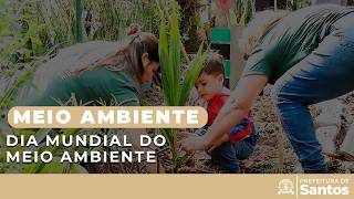Meio Ambiente - Dia Mundial do Meio Ambiente