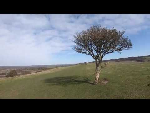 Walking in the Chiltern Hills - Ivinghoe Beacon Via Ashridge 9 mile Walk