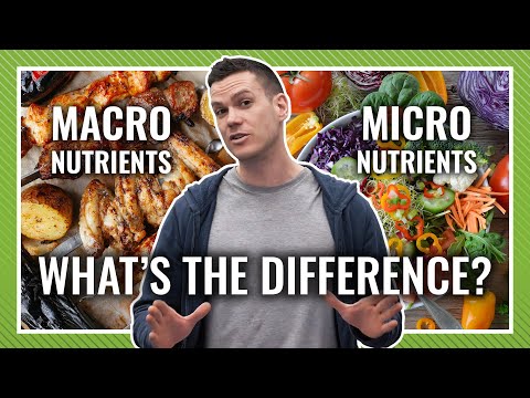 Macronutrients vs Micronutrients: What's Most Important When Dieting?