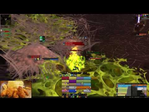 Mythic Elerethe Renferal - Resto druid PoV