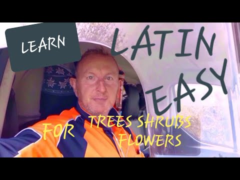 Learn the LATIN names  for trees and plants