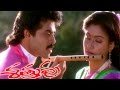 Amma Sampangi Video Song Shatruvu Movie Venkatesh VijayaShanthi