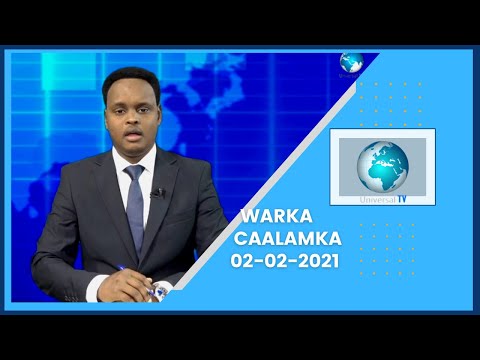 Warka Universal TV 02-02-2021