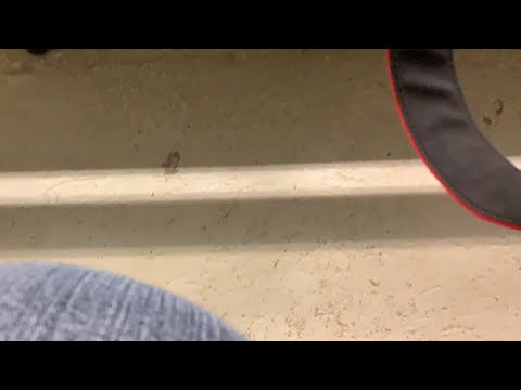 Buli Damen: IGR Remscheid- RSC Cronenberg