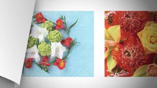 08 I Can&#39;t Feel Your Love