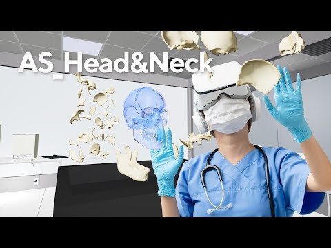 Head and Neck Anatomy Simulator AS_Head&Neck