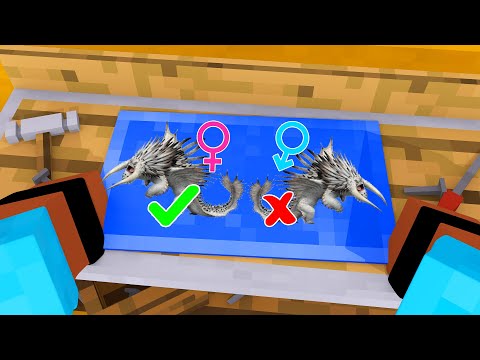 Projeto Dragão Alfa! - REINO DOS DRAGÕES #11