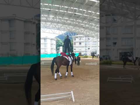 20170916 - CONCURSO INTERNO DE VAULTING ESCUELA DE EQUITACIÓN DEL EJÉRCITO - Coreografía Dobles D Re