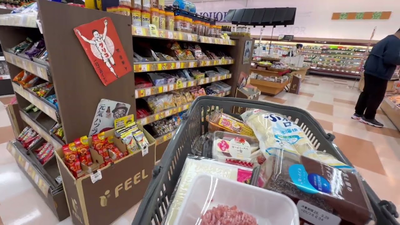 March 29, 2026 daily vlog living in Japan 🇯🇵 groceries 