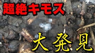 【閲覧注意】真冬だけどどうしても虫に会いたいんだ！！！