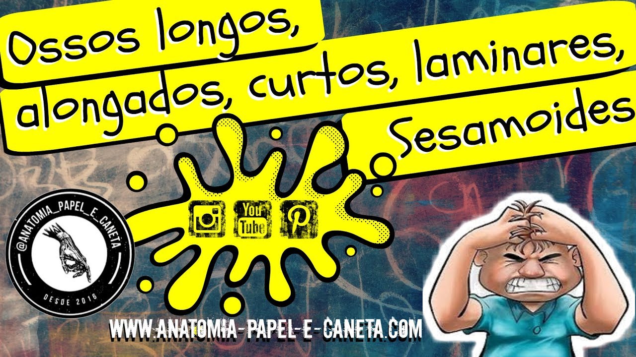 Classificação dos ossos - Longos, alongados, curtos, sesamoides, osso fabela...