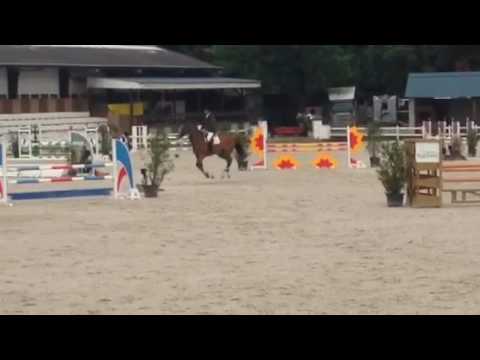 Camiel of Greenhill Z(Chaplin of Greenhill (Cassini I x Caretino) x Cornet Obolensky) 4j gesves kwa