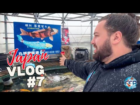 Japan Vlog #7 - Maruhiro Round Pond & Senbetsu
