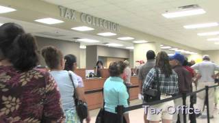 Hidalgo County Montage