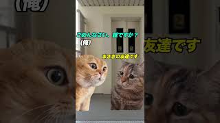 エレベーターを降りた瞬間に起きた出来事 #猫ミーム #cat #猫