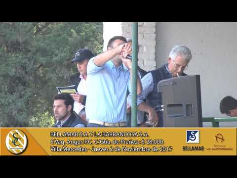 02-11-17 Venta de Vaq. A.A. P.C. Y P.H. P.R. - Bellamar S.A. y La Barrancosa S.A. - Villa Mercedes