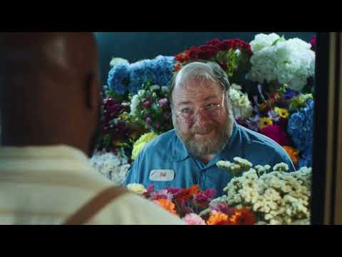 Video Image