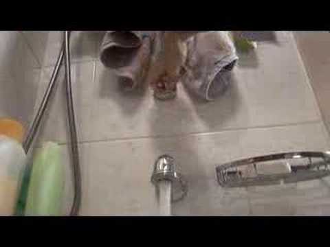 Impacts clima Lambert Wilson 1