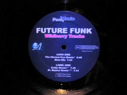 Future Funk.Wildberry Tracks.Dr.Kucho Remix.Pool E Music 2005.