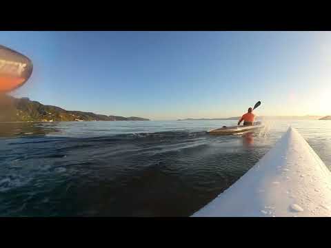 CarbonologySport BoostX in honeycomb carbon.